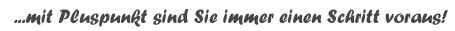Pluspunkt Ingenieurbau GmbH
